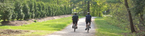 Spring Rail Trail Riding